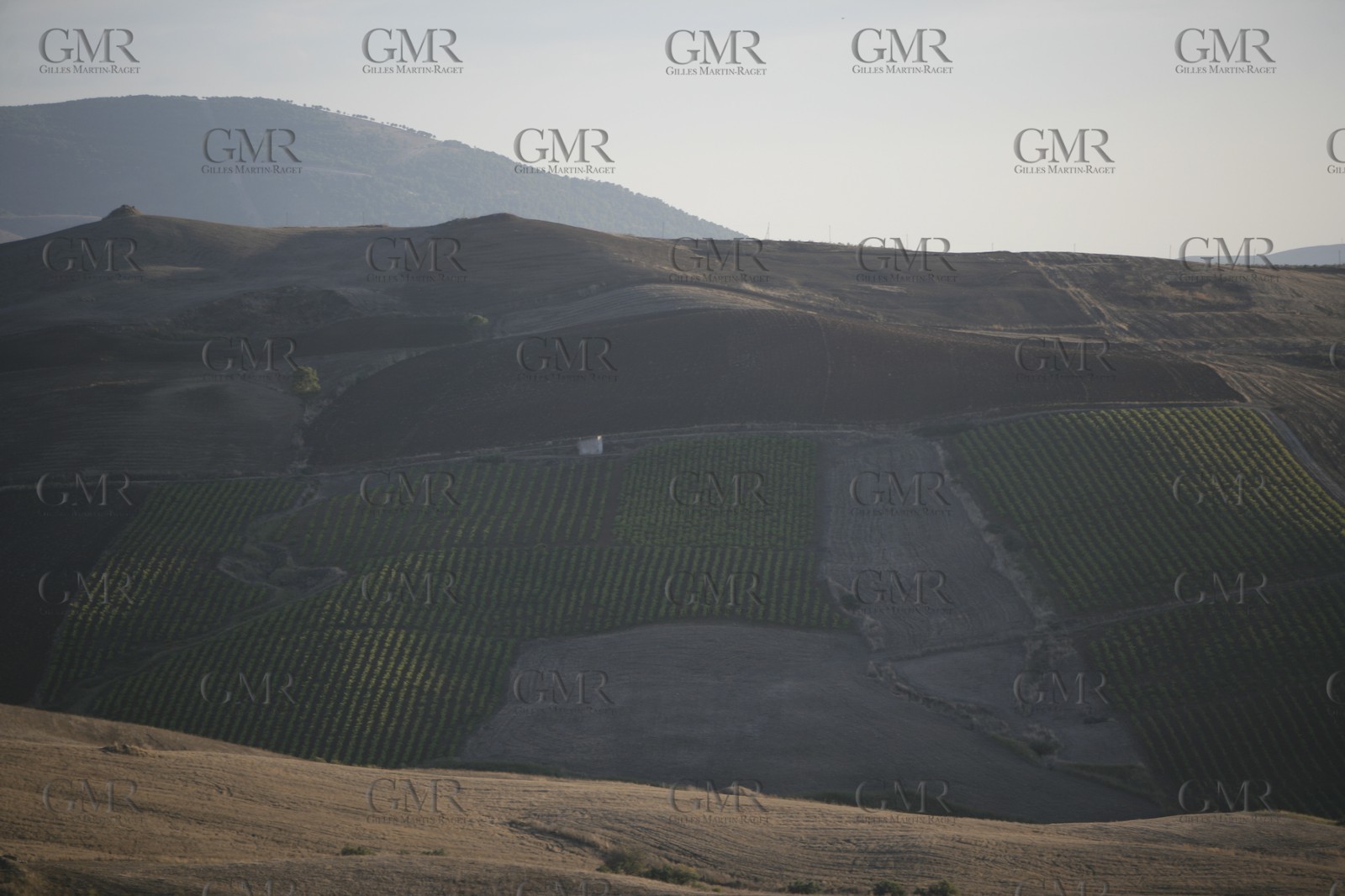 2005 - Trapani (ITA,Sicilia)