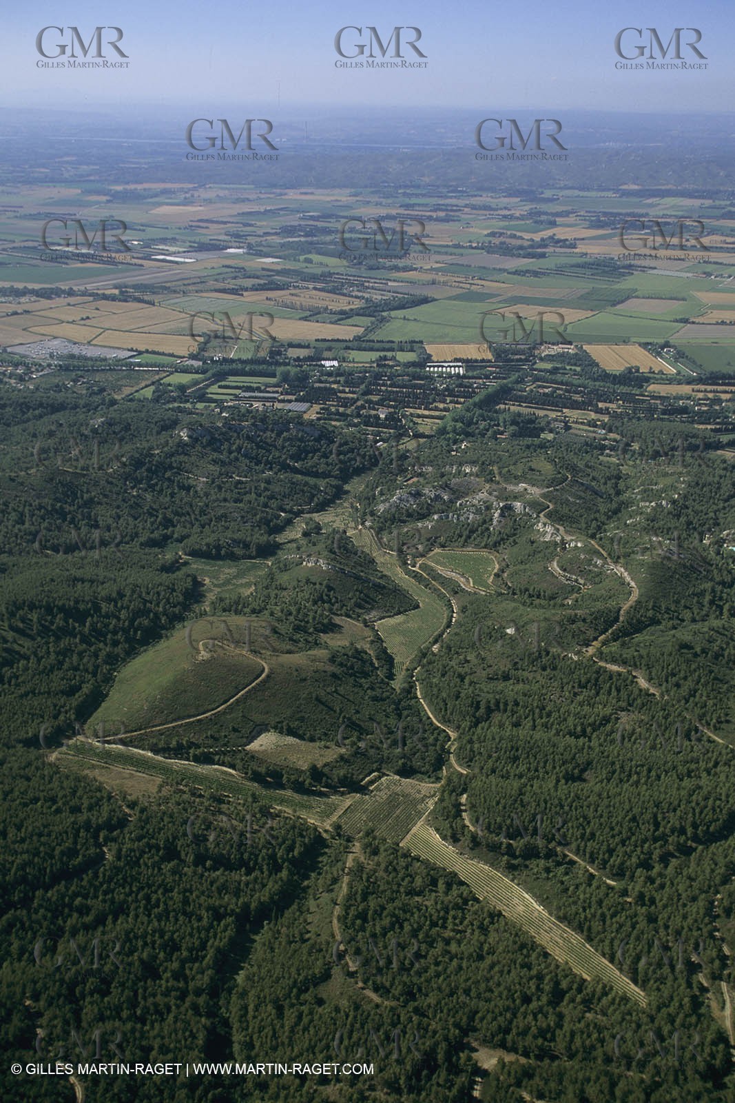 France, Provence, Les Alpilles, Domaine Dalmeran