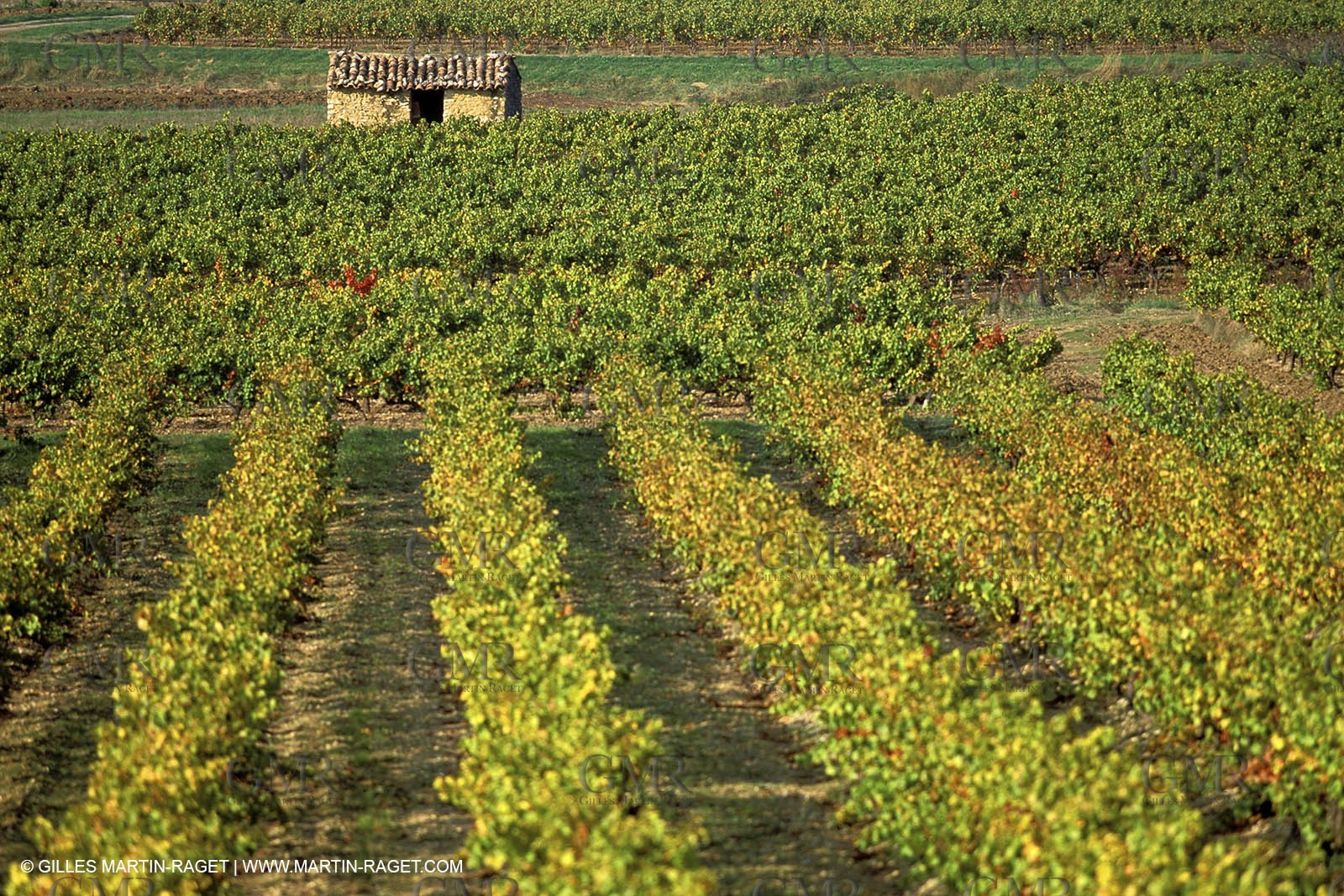 Roussillon