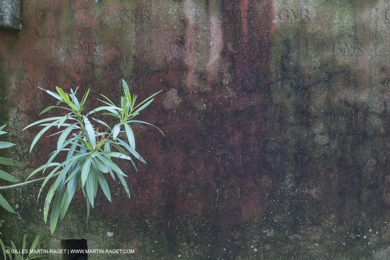 1 06 2018, Ménerbes, (FRA,84)