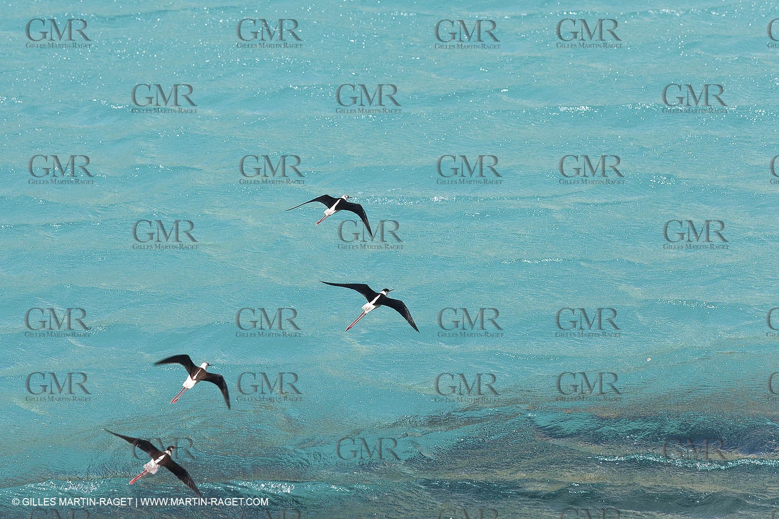 27 05 2009 - Marseille (FRA, 13) - Les Calanques - Sormiou