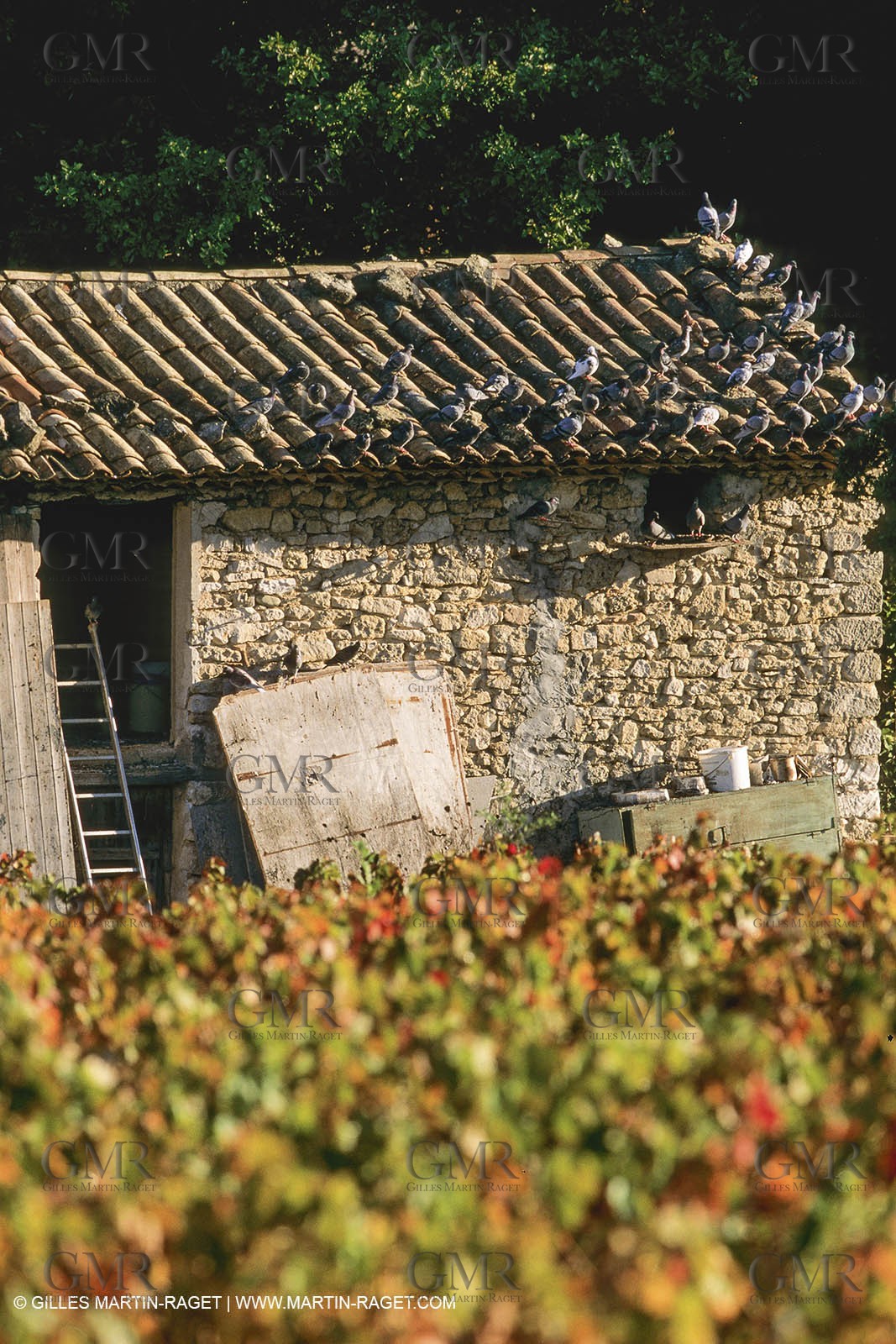 Landscapes and villages of Luberon national Park (FRA,04)