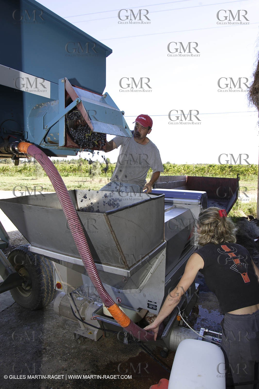 Harvest - D'or et de Gueule castle