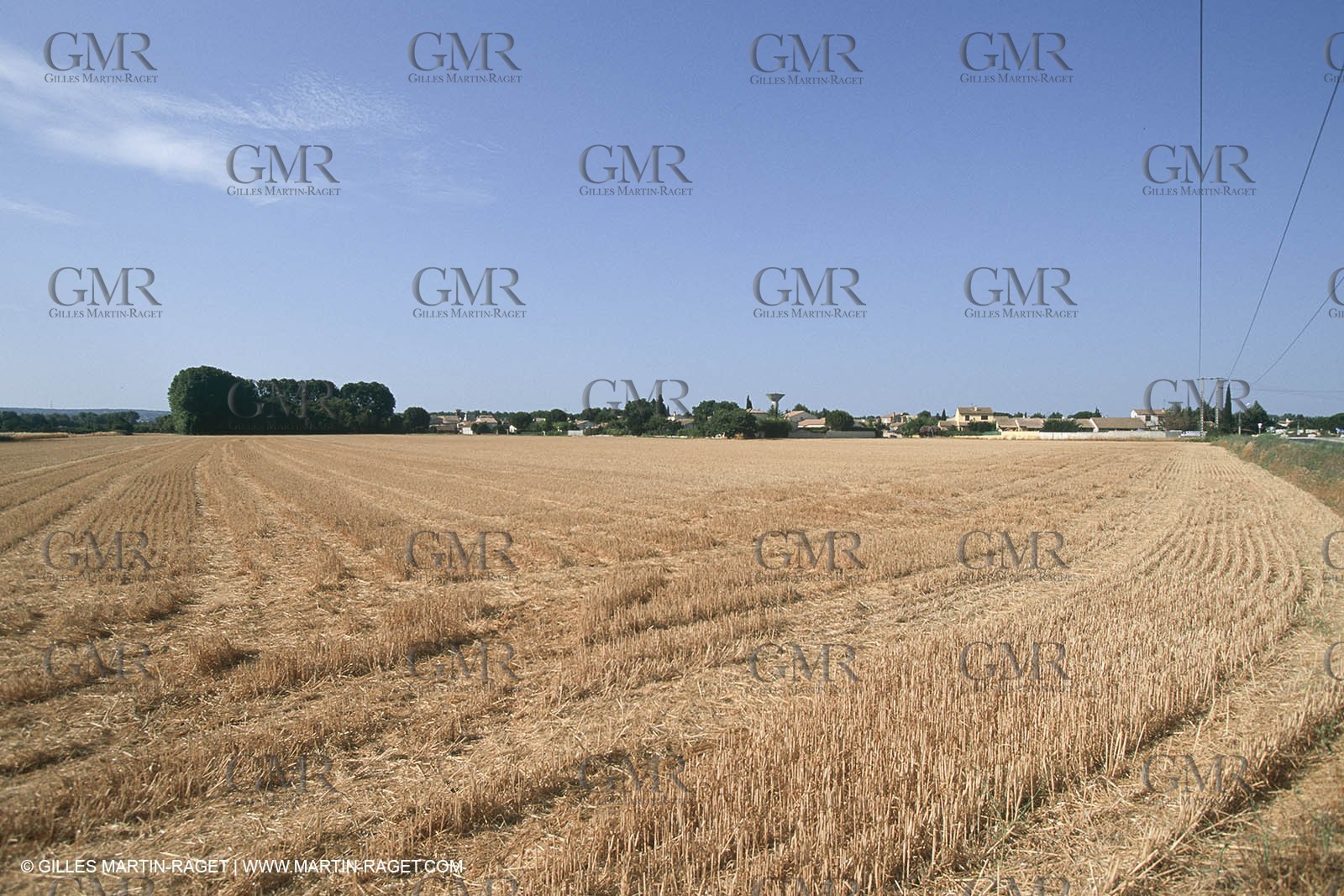 costieres_plaine0112.jpg