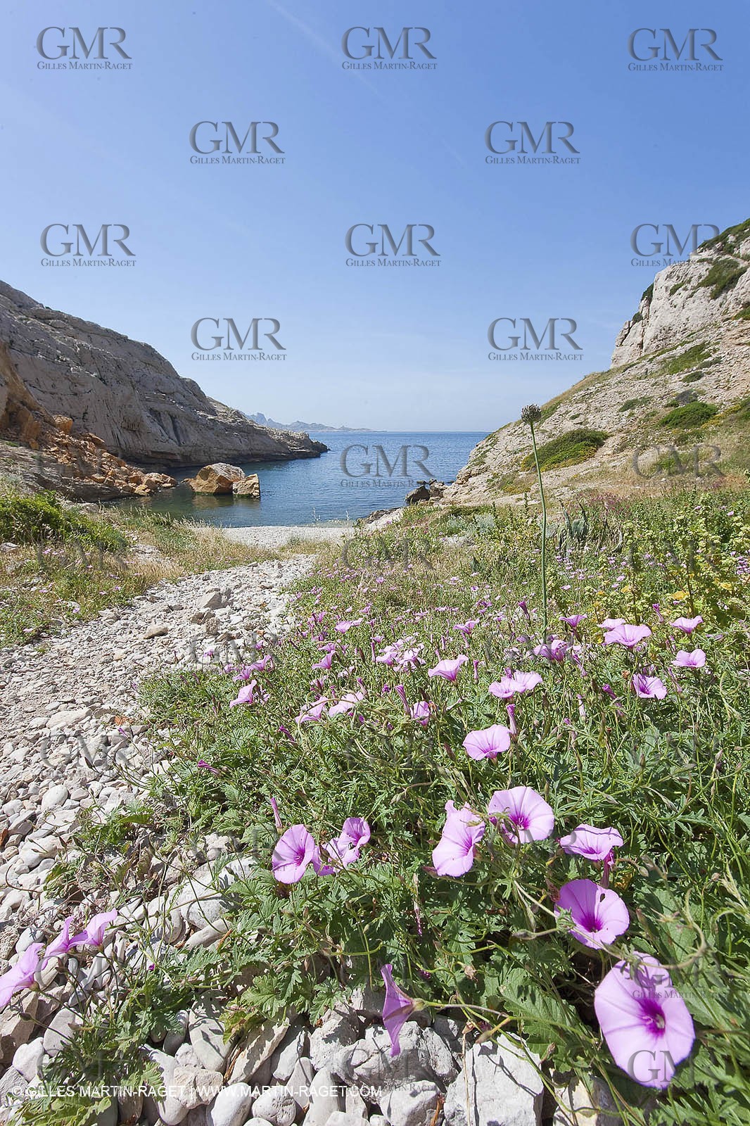 20 05 2009 - Marseille (FRA, 13) - Les Calanques - Calanque du Podestat
