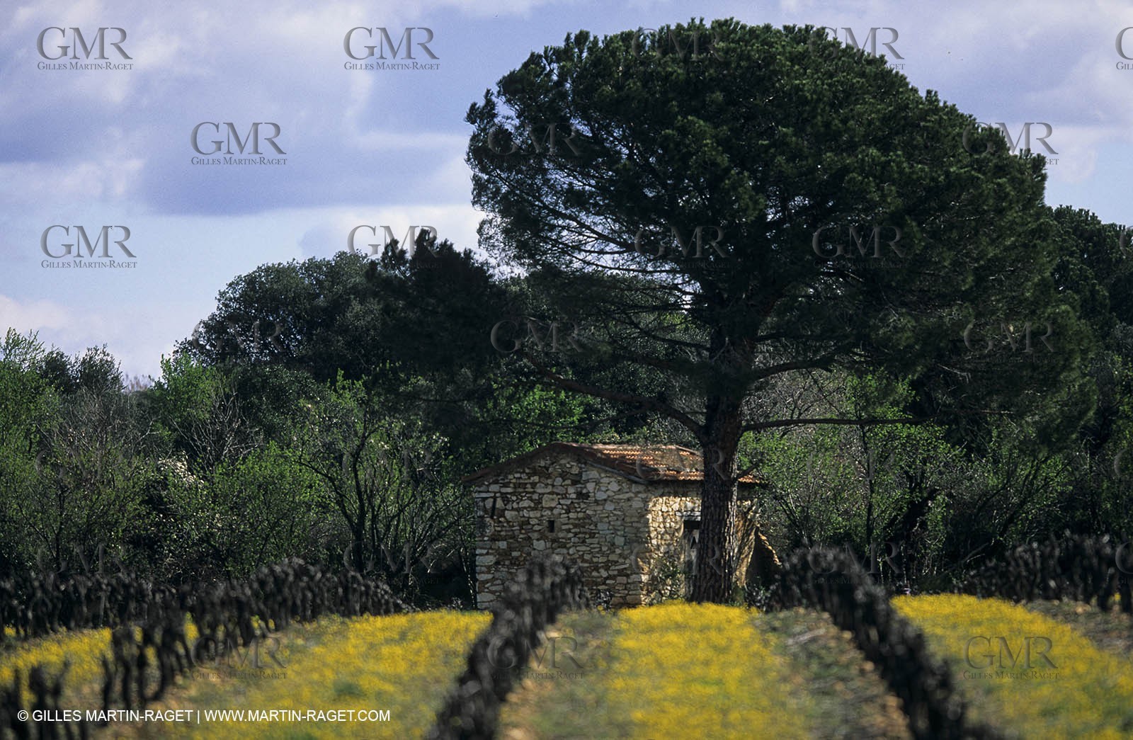 Paysages de Nîmes Métropole (FRA,30) -Costières