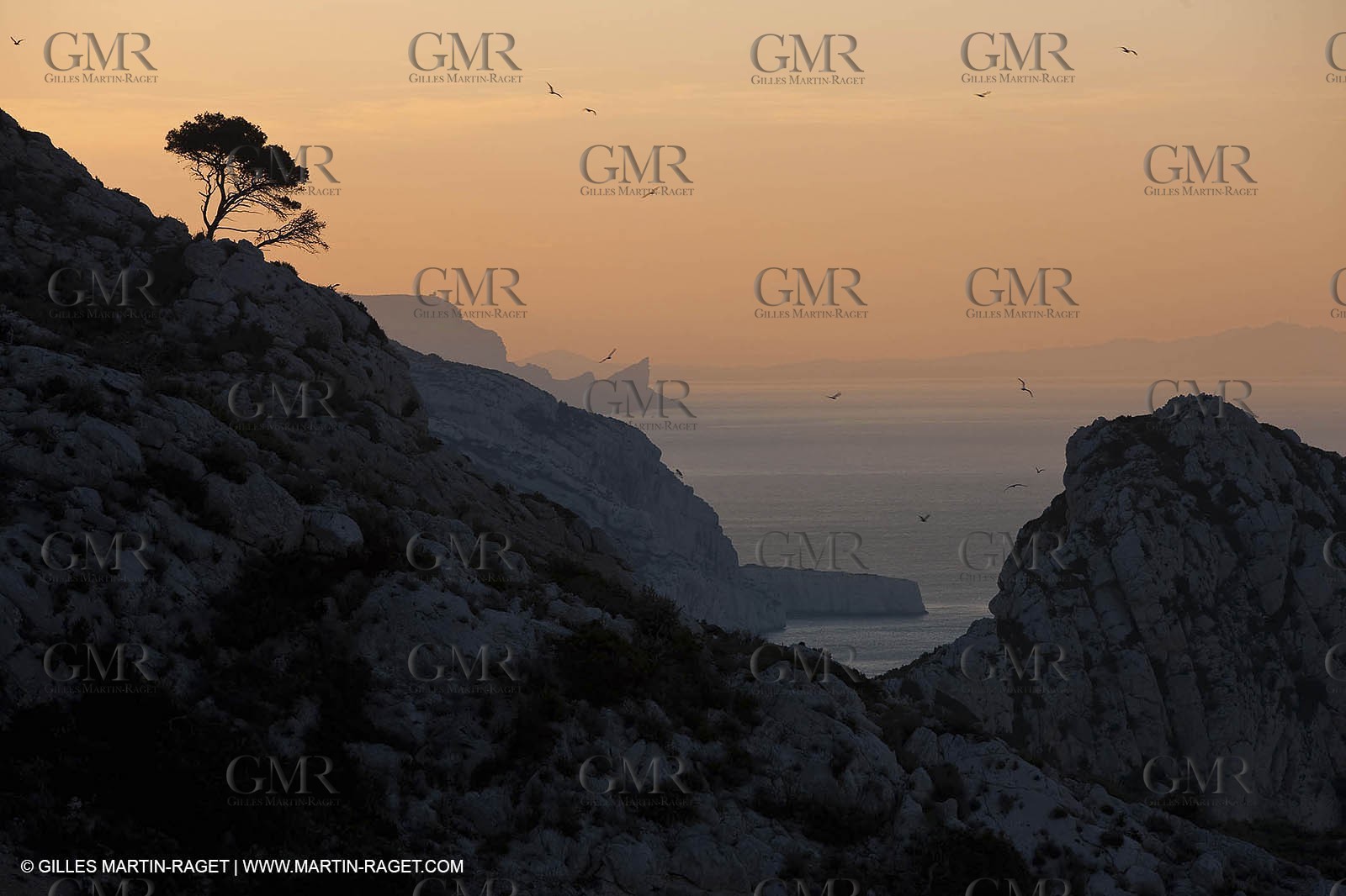 23 03 2009 - Marseille (FRA, 13) - Les Calanques - Crête de Sormiou, cap Morgiou, Bec de l'aigle