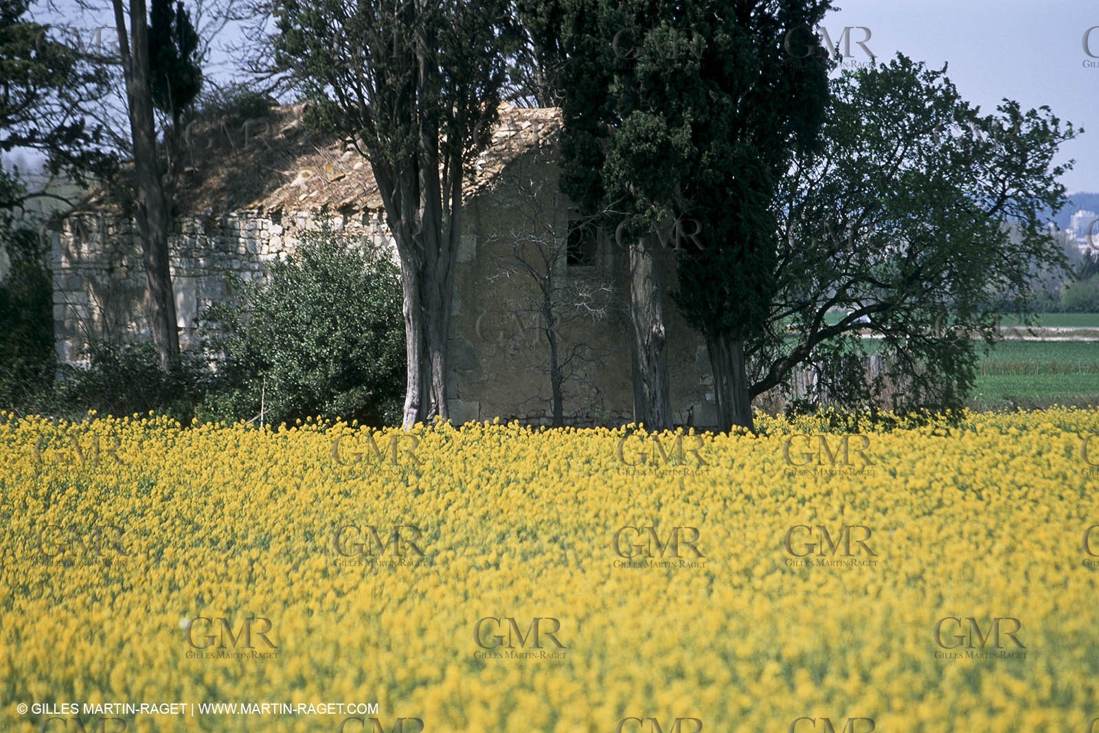 costieres_plaine0075.jpg