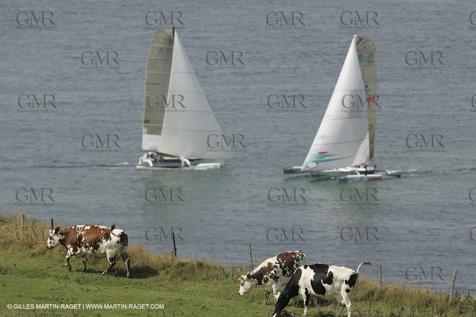 2004 ORMA Multihulls Championship - Fecamp Grand Prix