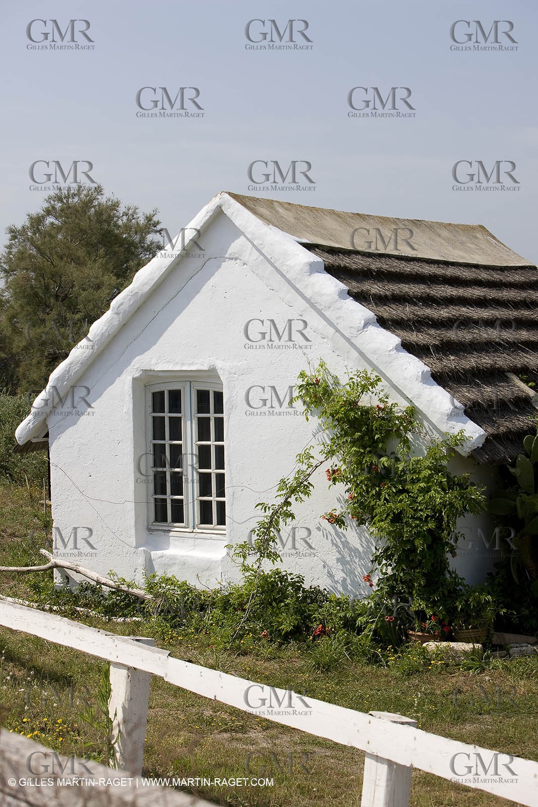 01 07 2008 - Les Saintes Maries de la mer (FRA, 13) - gardians cants