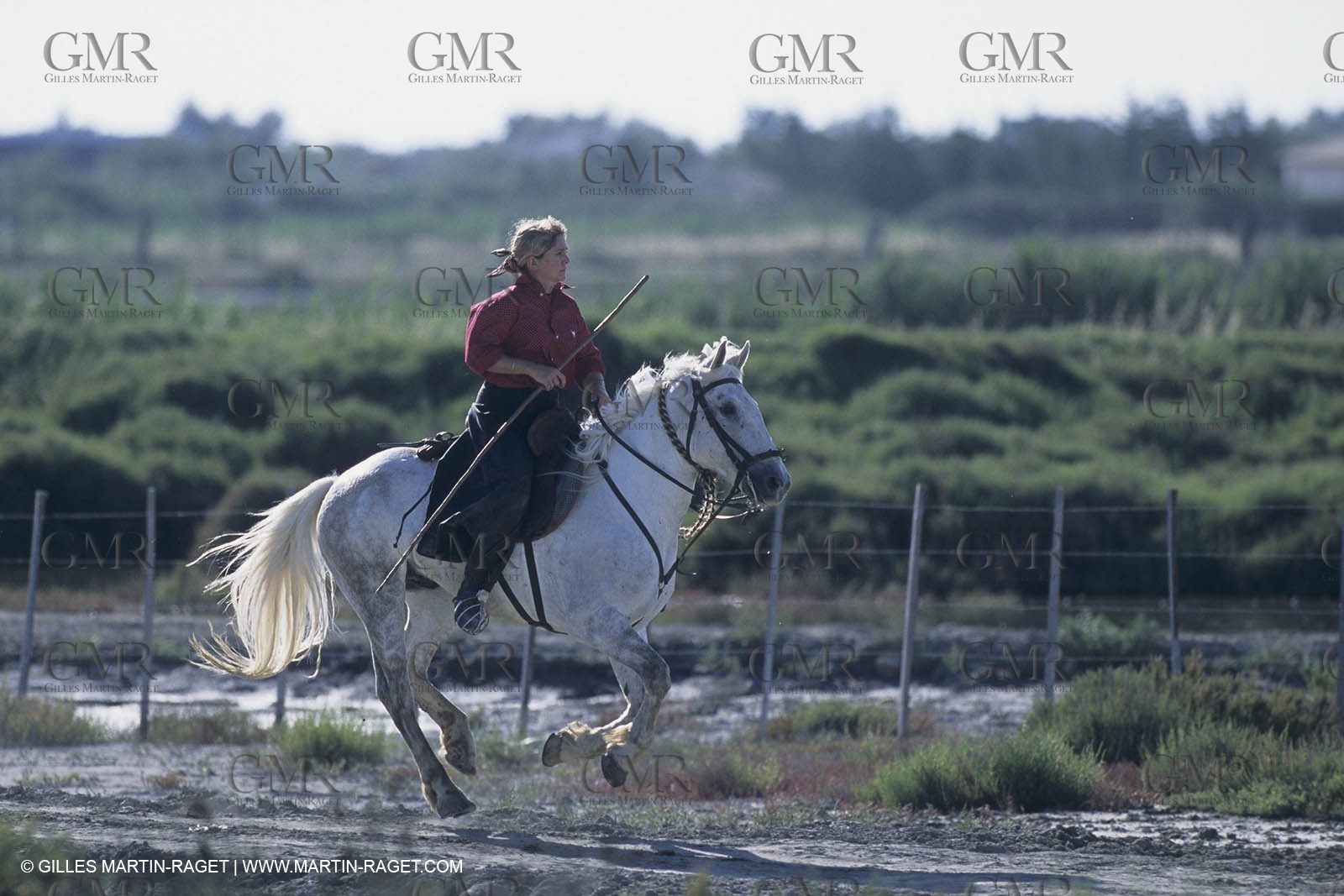 France, Provence, Camargue, Gardians de Camargue, métier, fêtes, élevage, tri