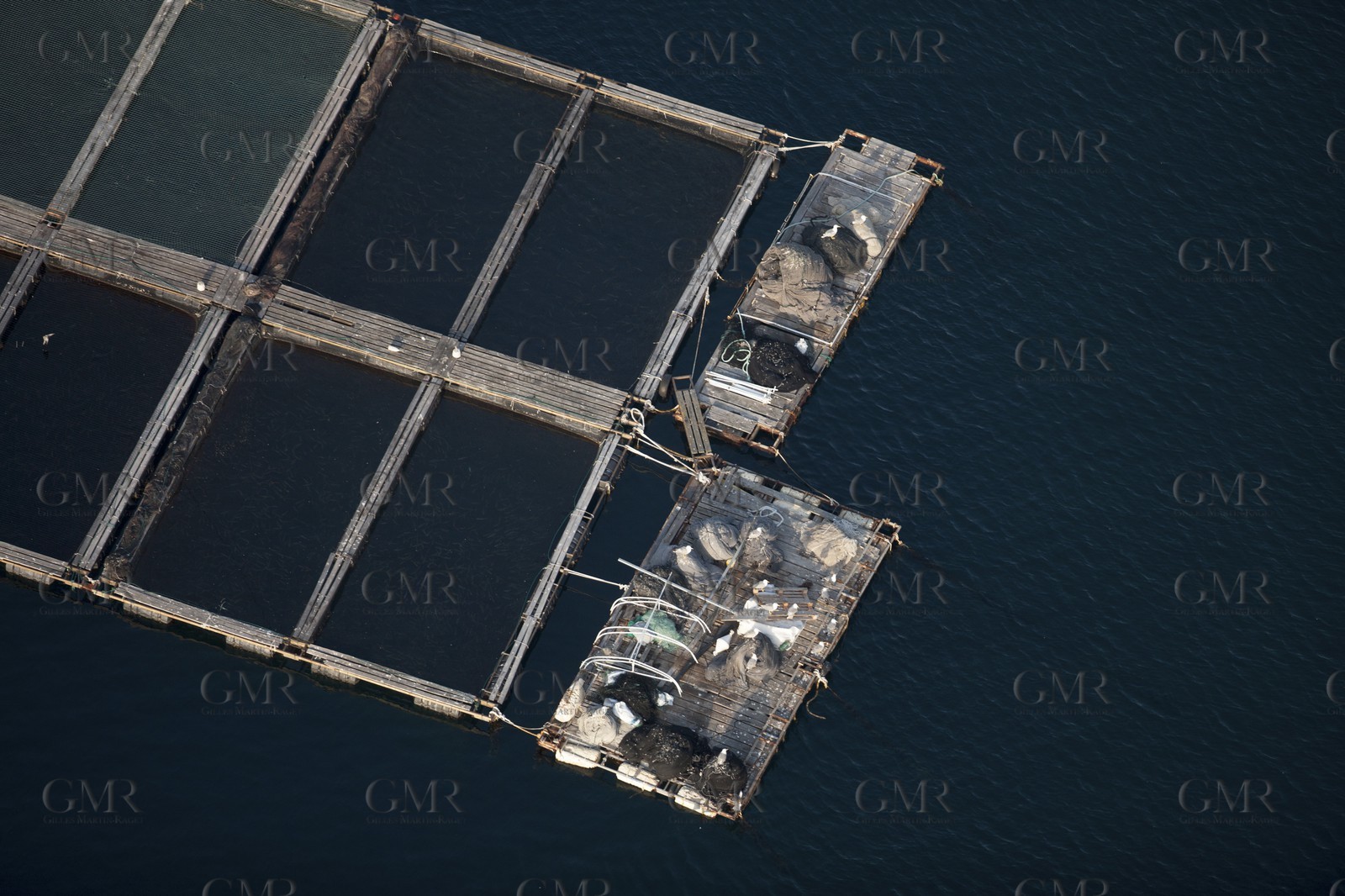 14 07 2012 - Kornati Islands archipelago (Croatia) - Otok Pasman Island