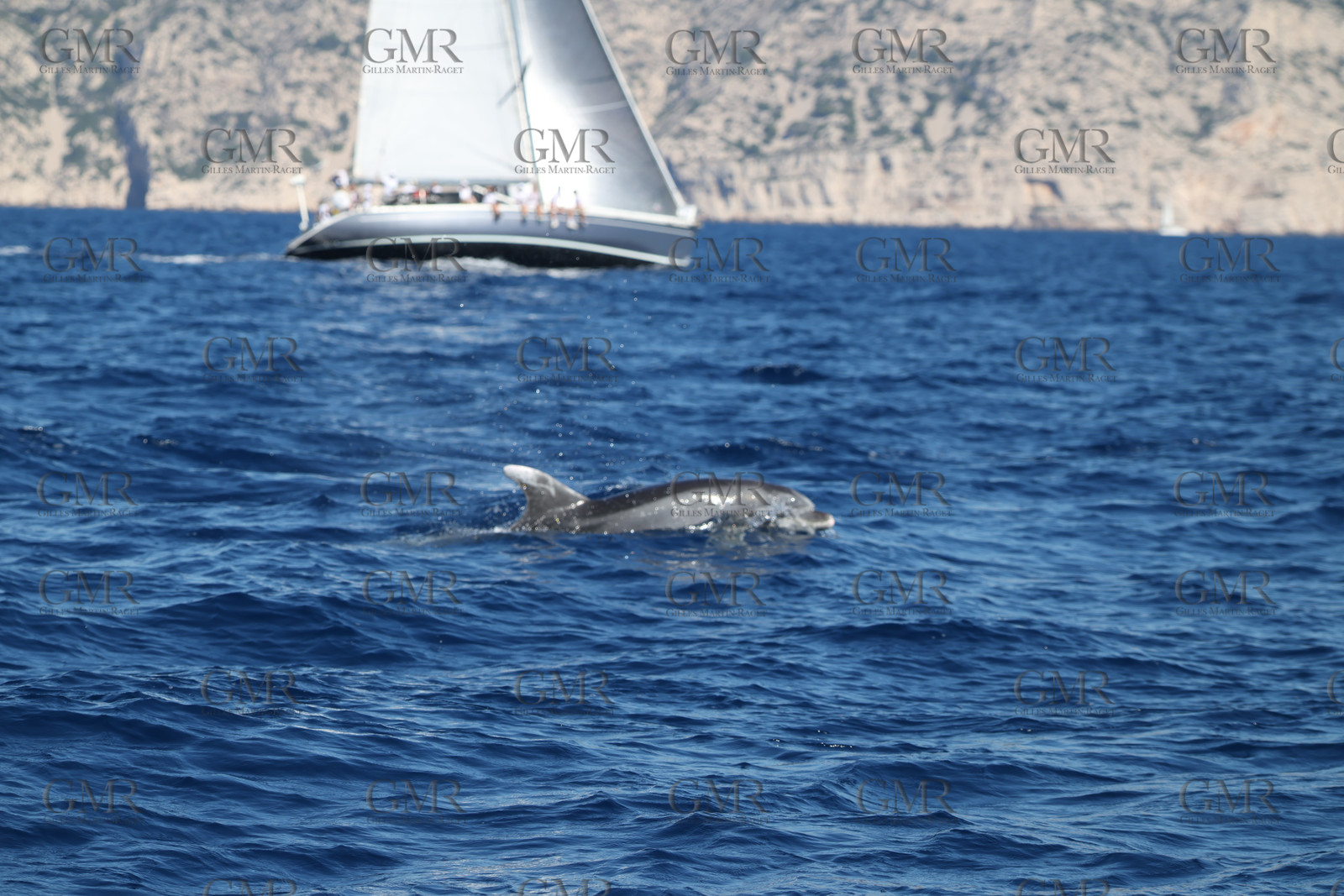 GMR_JurisCup25_3549.jpg