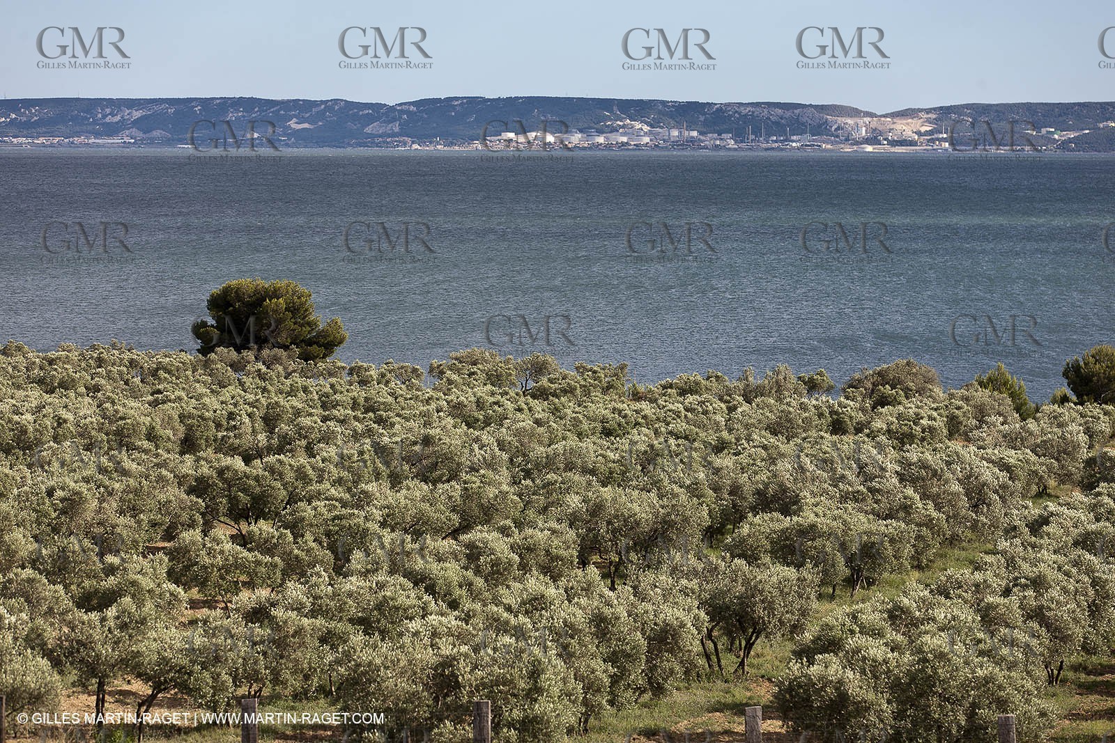 13 06 2012 - Saint Chamas (FRA,13)