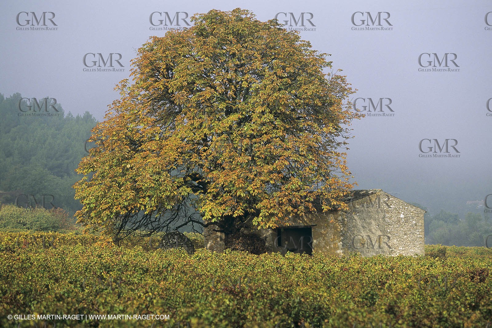 France, Provence, Luberon