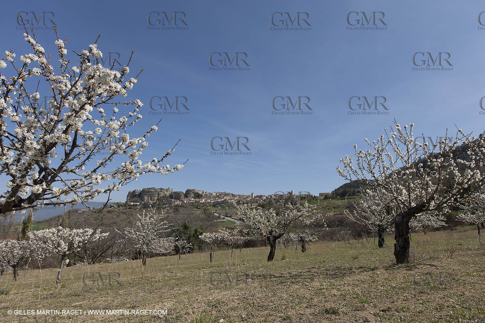March 30th 2012 - Saint Saignon (FRA, 84) - blooming cherry trees