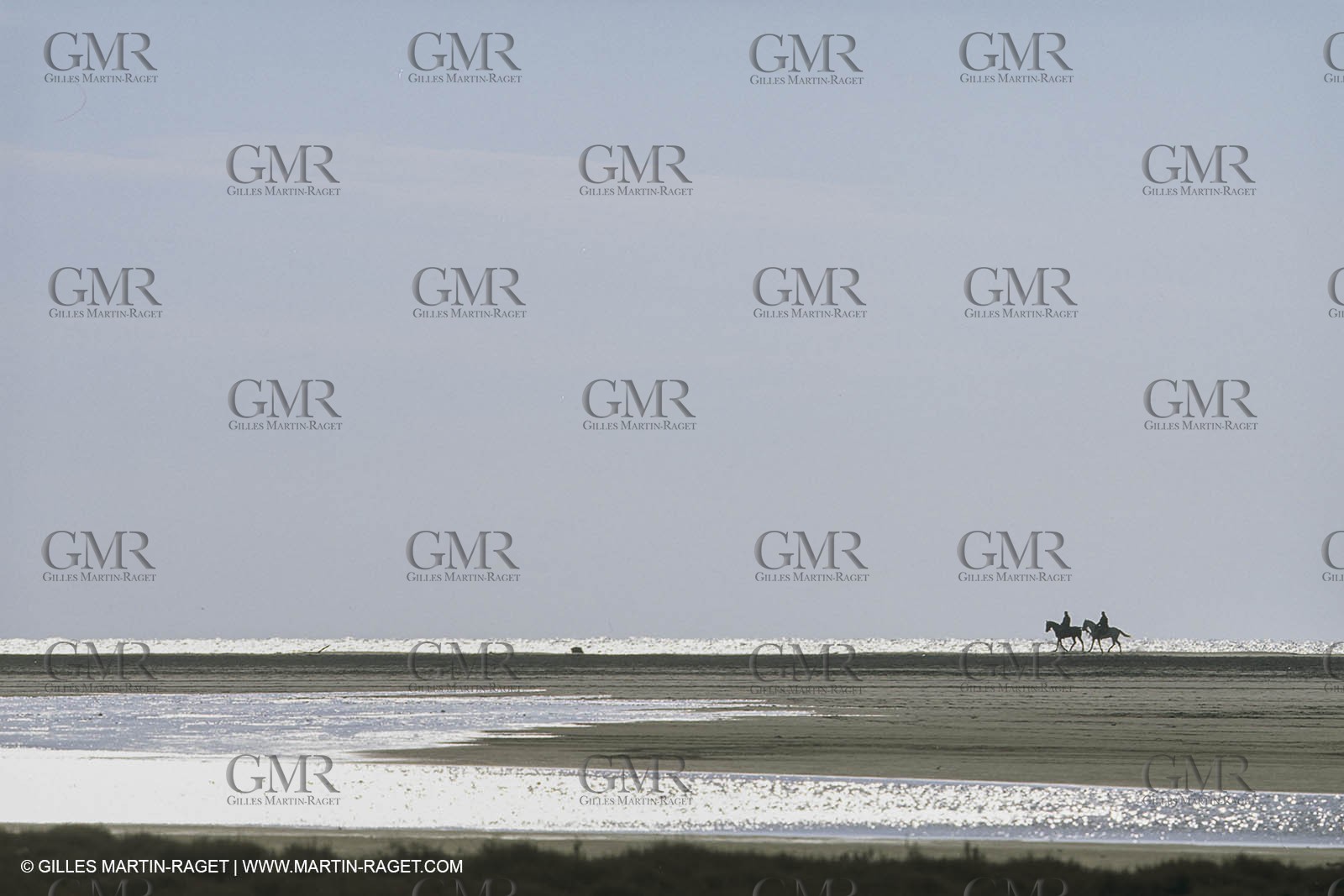 France, Provence, Gardians de Camargue