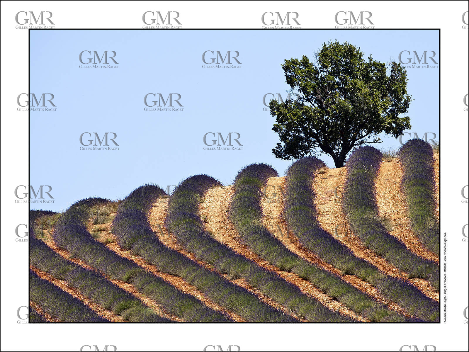 Product: in house made quality print on 8 ultrachome colors Epson ink Jet printer.Available sizes: . 30x40 cm. 50x70 cm. 80x120 cmAvailable papers: . Standard 250 gr glossy paper print, black streak, white margin, no signature. Top quality glossy 290 gr. paper, black streak, white margin, checked and signed by the author. Fine Art print (signed, numbered, stamped, registered) on demand. Other supports (Canvas, Acrylic, Metal) on demandPackaging: cylindric reinforced tubeShipping options: regular mail or Shipping companyClick on the basket icon to select your options and start the online ordering process