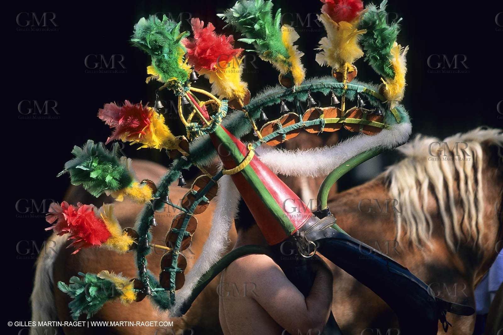 Saint Rémy de Provence (FRA,13) - Careto ramado (charrette fleurie)