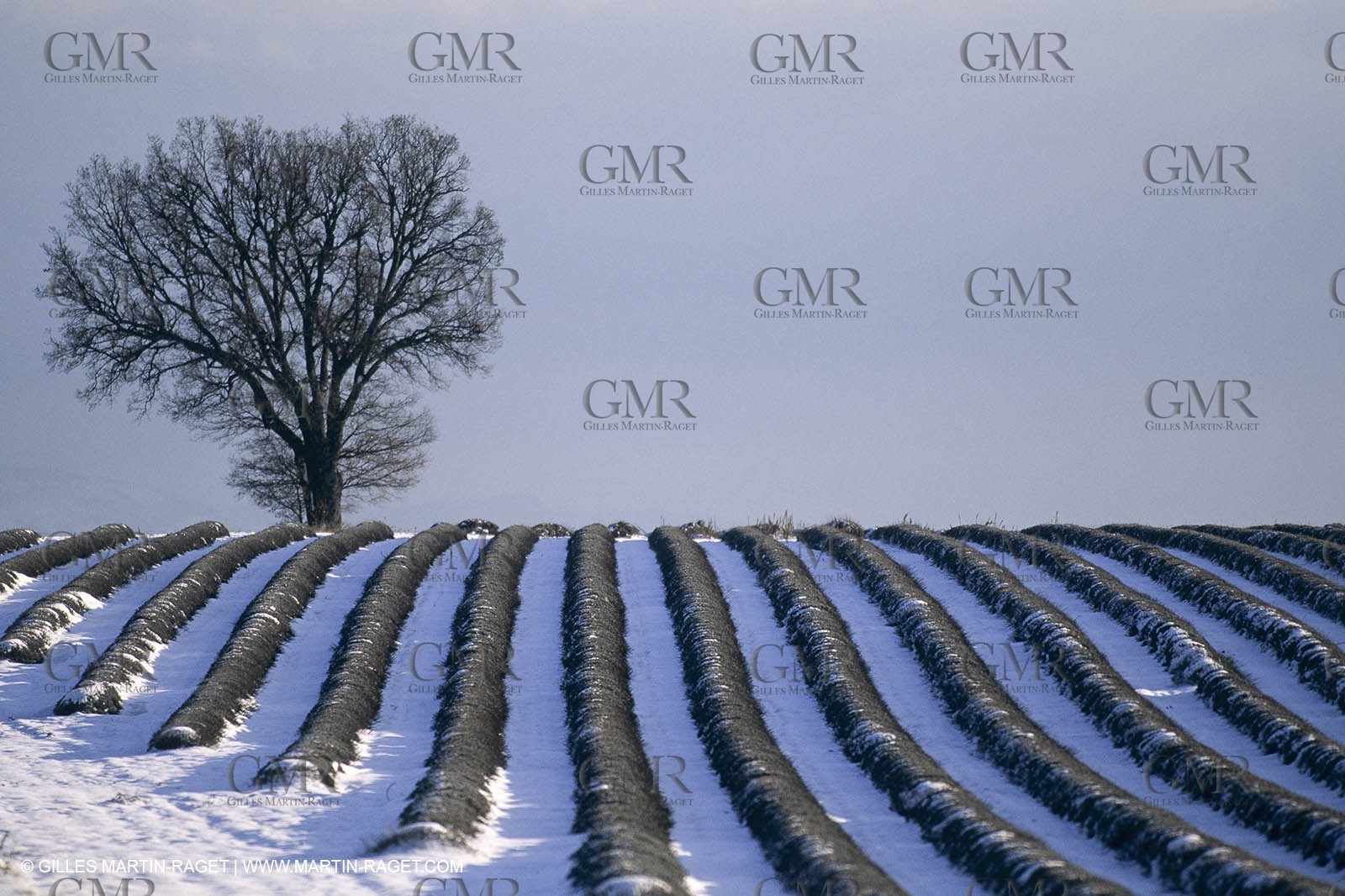 Provence under snow - Higher Provence - Valensole plateau
