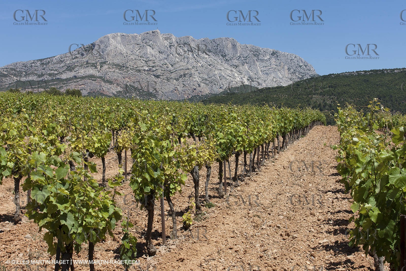 09 06 2012 - Pays d'Aix en Provence (FRA,13) - Sainte Victoire mountain