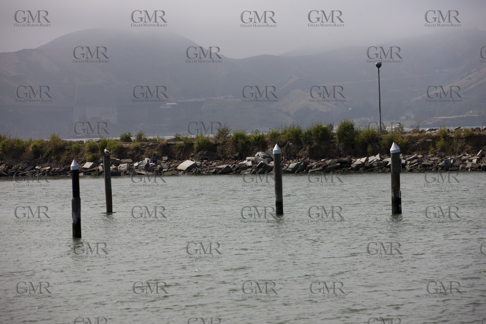07 06 2011 - San Francisco (USA,CA) - 34th America's Cup - Marina Green