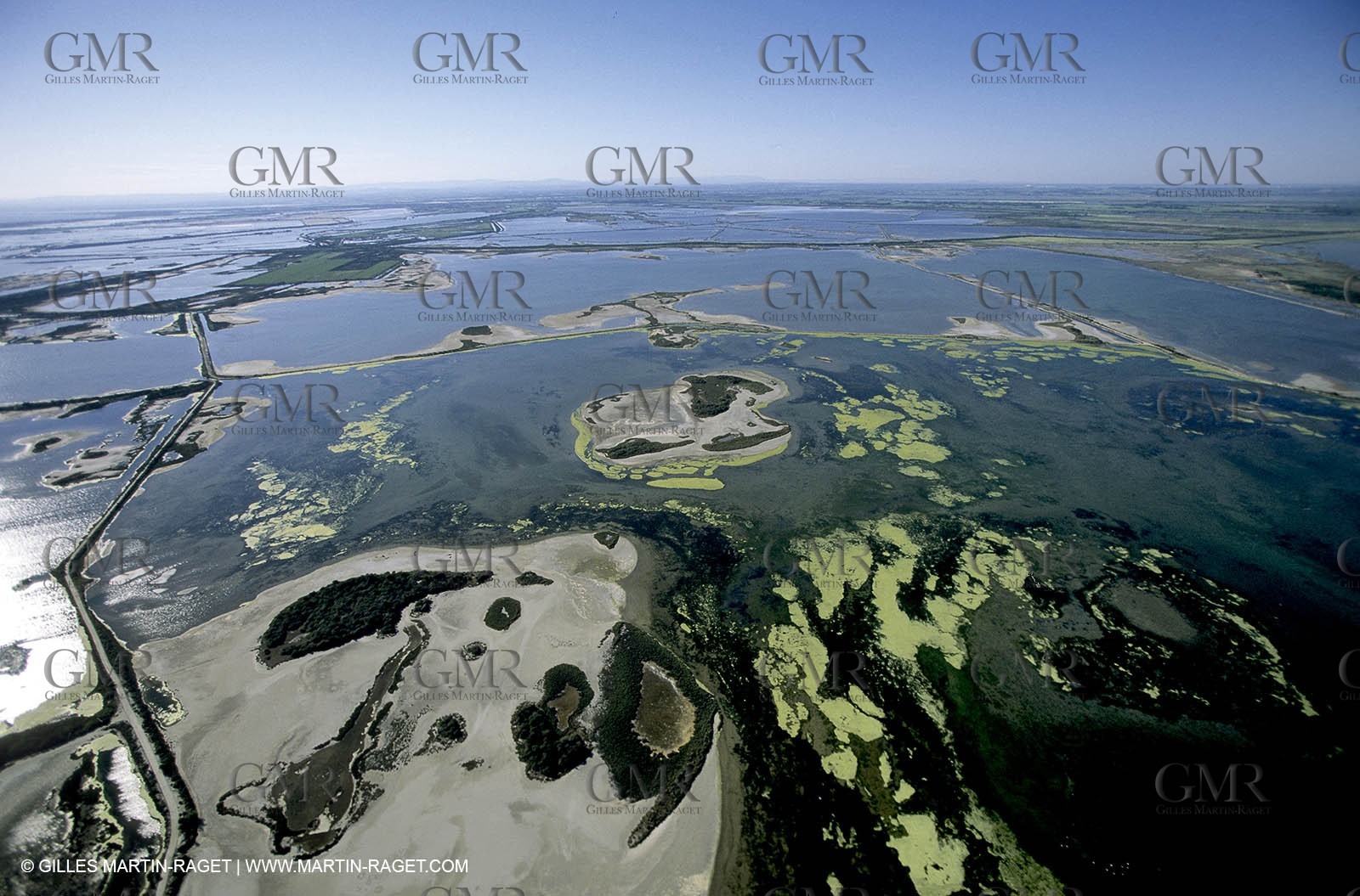 Ponds from Camargue