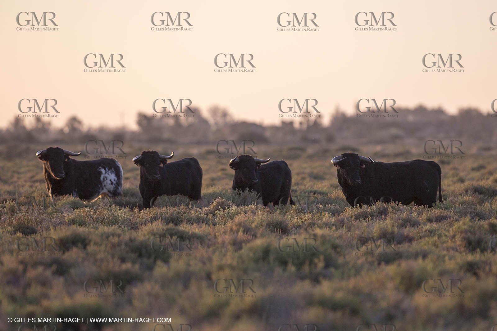 23 10 2014, Salins de Giraud (FRA,13), Salt & Speed 2014, Charlotte Consorti