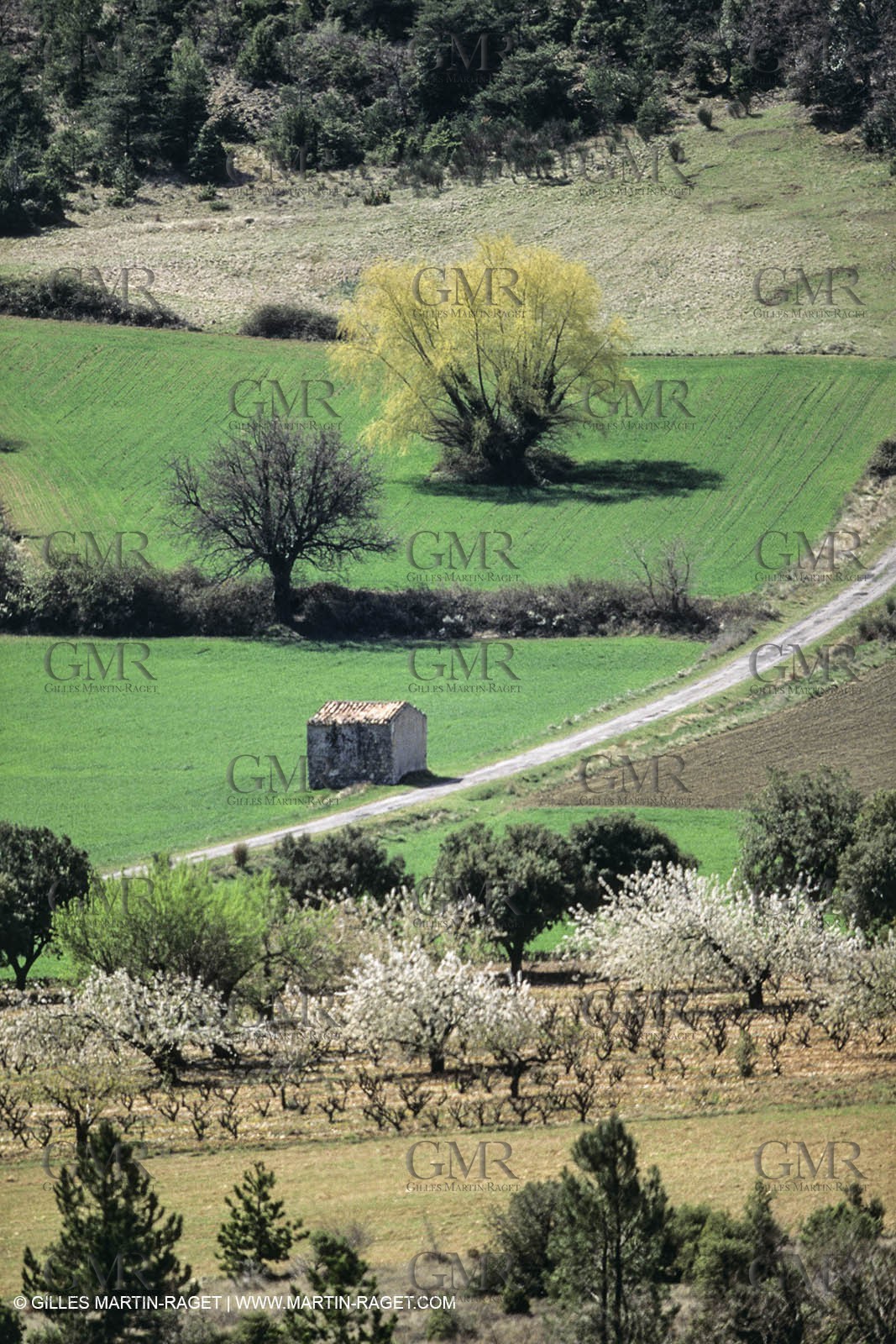 Landscapes and villages of Luberon national Park (FRA,04)