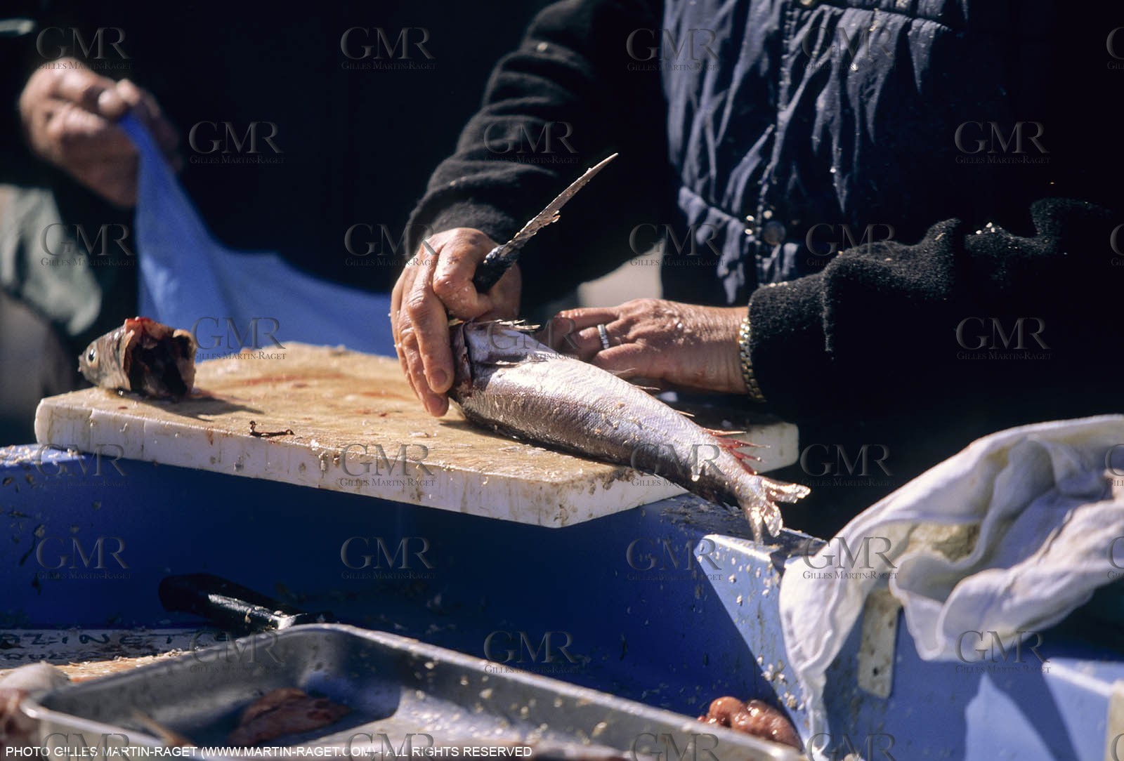 Marseille (FRA,13), Fishing