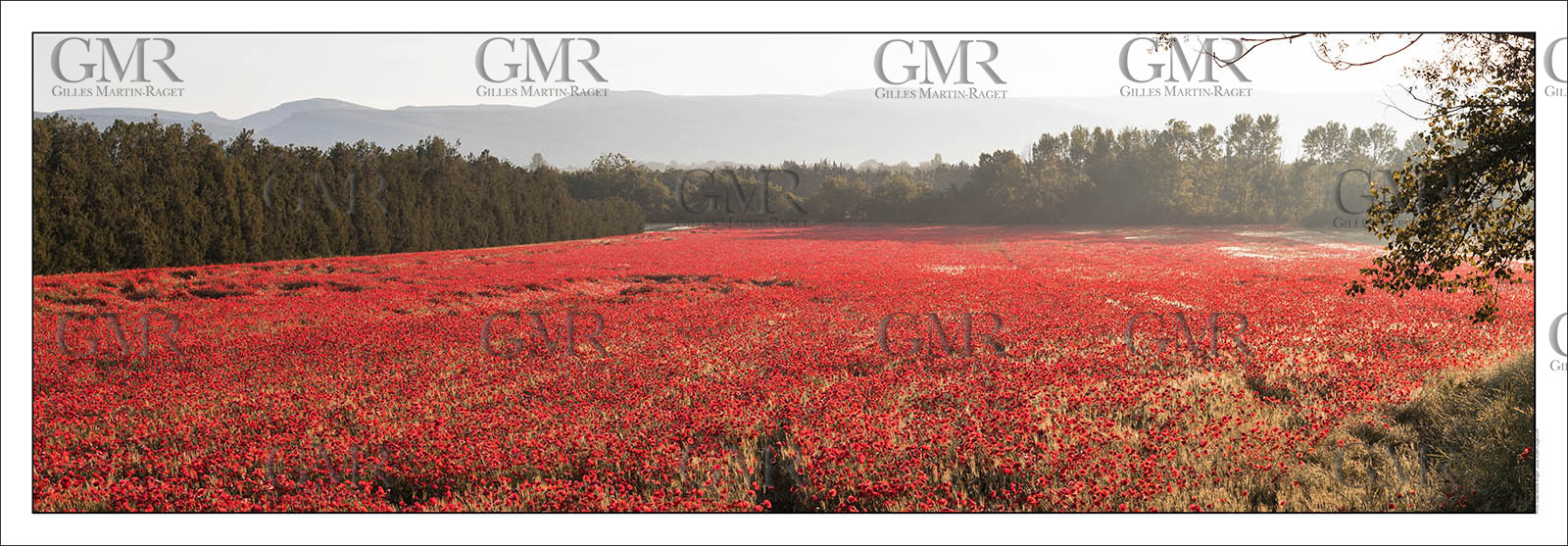 Product: in house made quality print on 8 ultrachome colors Epson ink Jet printer.Available sizes: . 20x 60 cm. 33 x 95 cm. 52 x 150 cmAvailable papers: . Standard 250 gr glossy paper print, black streak, white margin, no signature. Top quality glossy 290 gr. paper, black streak, white margin, checked and signed by the author. Fine Art print (signed, numbered, stamped, registered) on demand. Other supports (Canvas, Acrylic, Metal) on demandPackaging: cylindric reinforced tubeShipping options: regular mail or Shipping companyClick on the basket icon to select your options and start the online ordering process