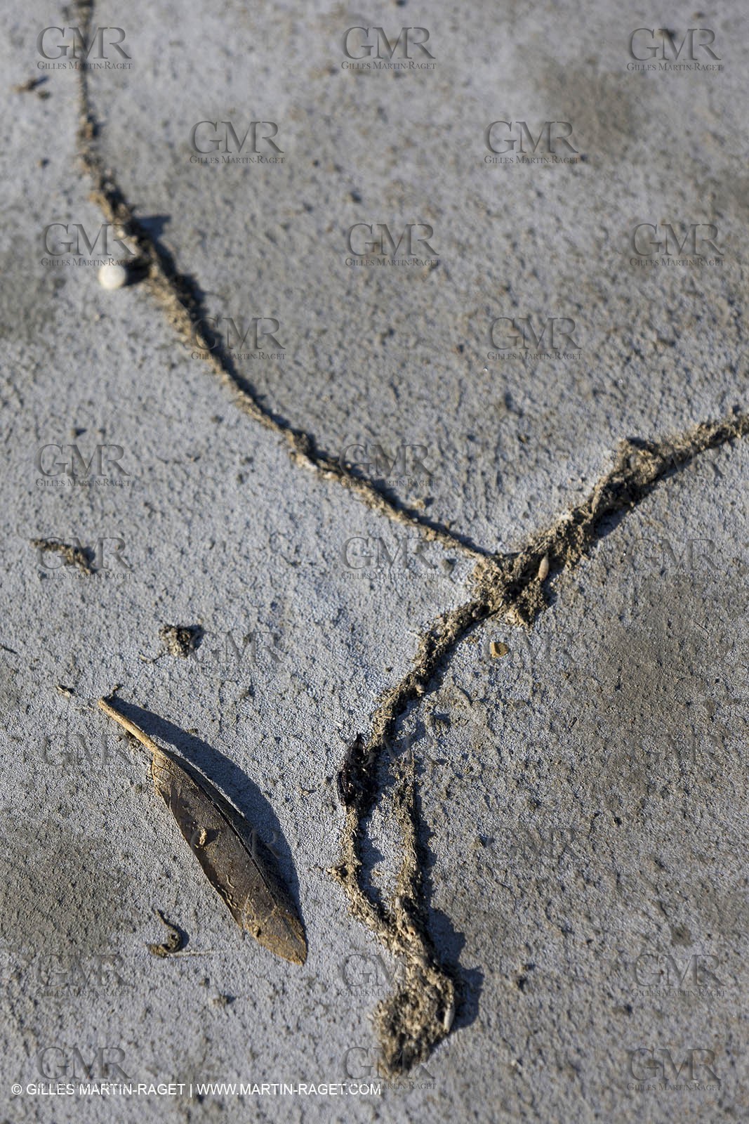 23 10 2014, Salins de Giraud (FRA,13), Salt & Speed 2014, Charlotte Consorti