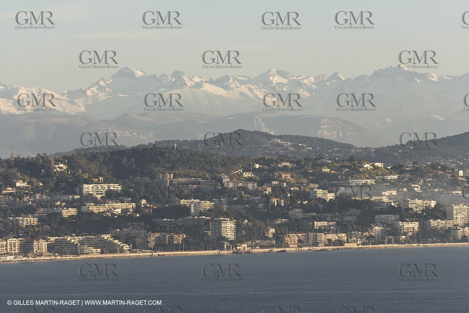 06 02 2008 - Théoule sur mer (FRA, 06) - Mimoses in full flower