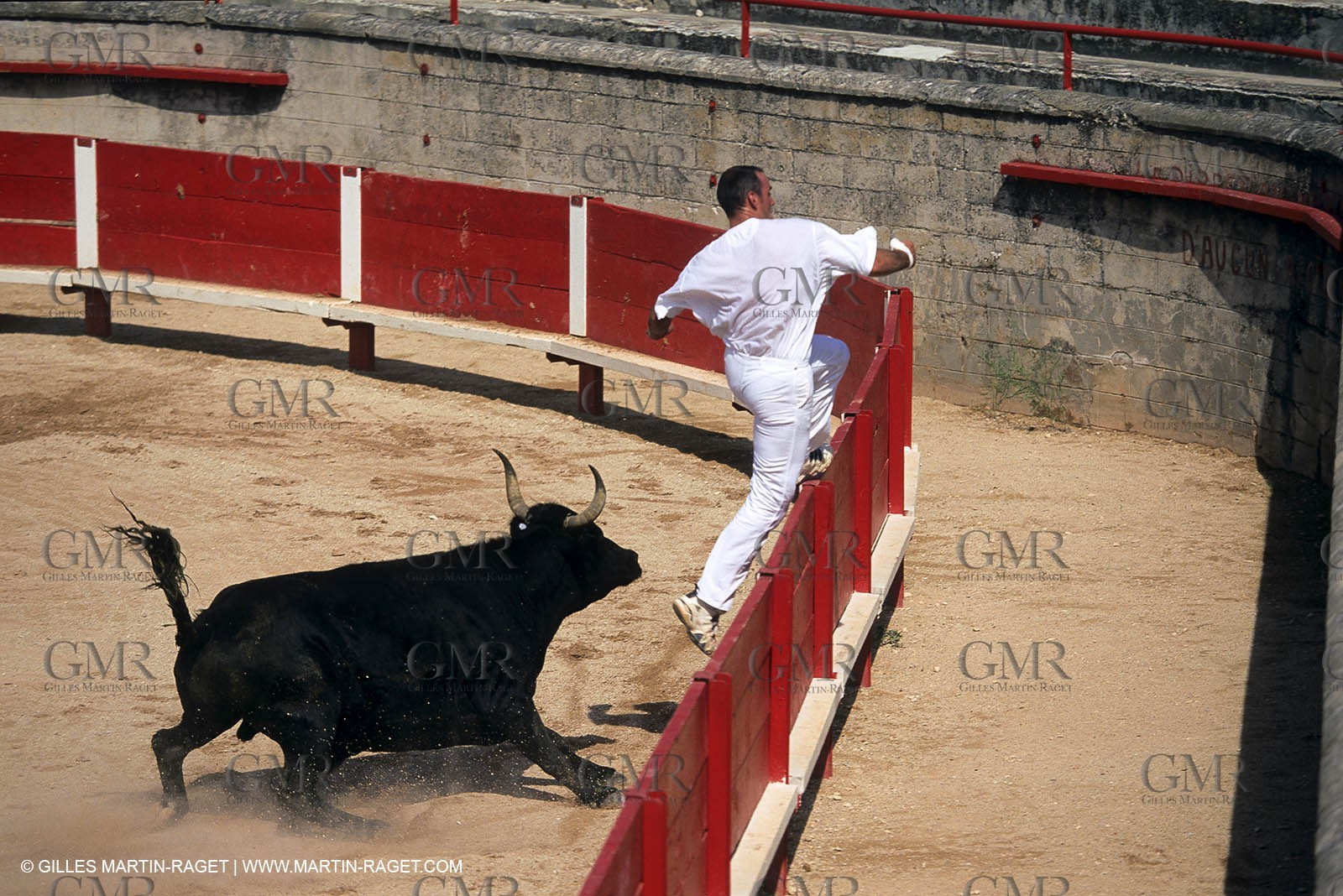 Gard, (FRA,30) - Camargue bull game