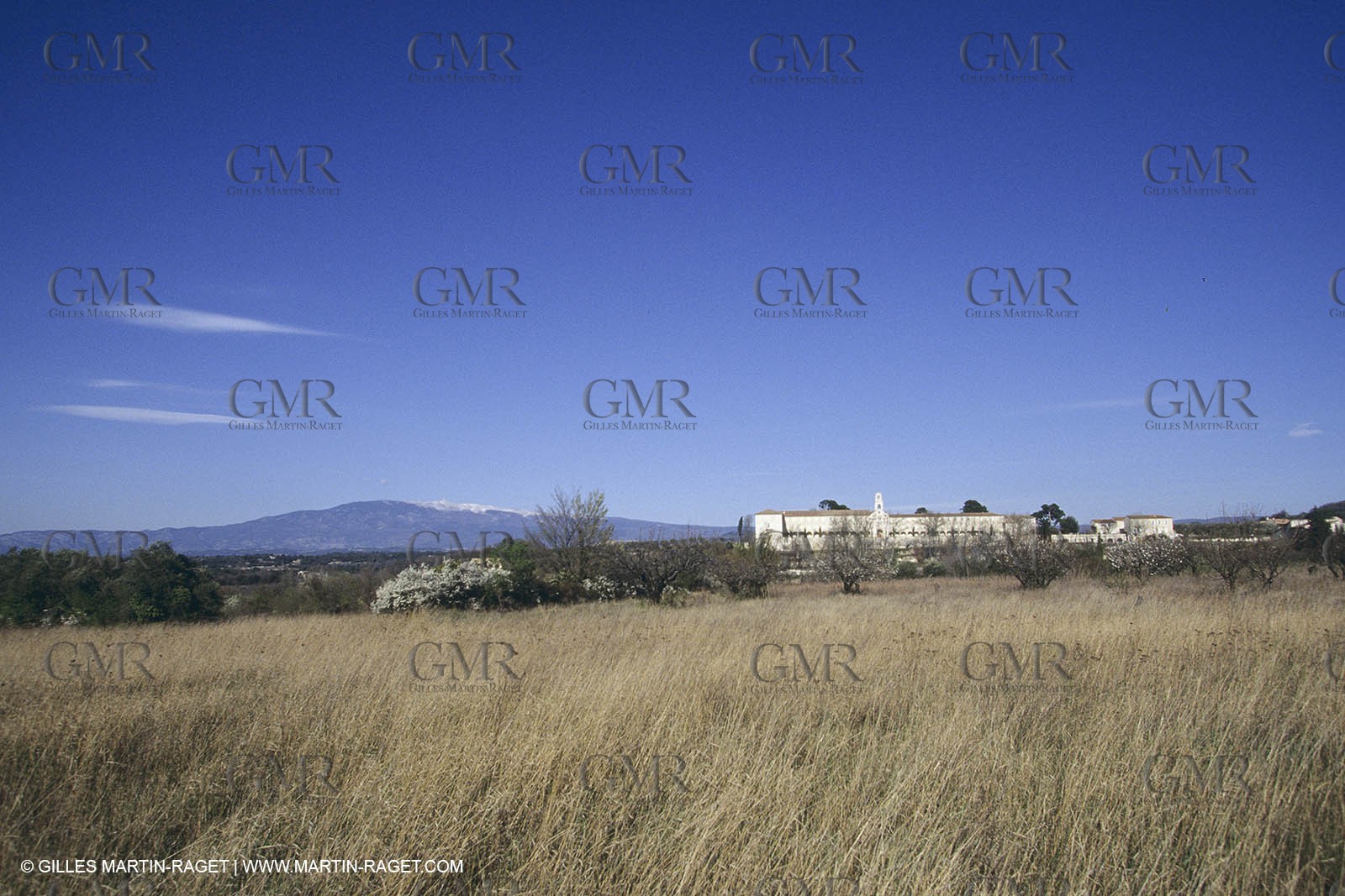 France, Provence, Pays de Forcalquier
