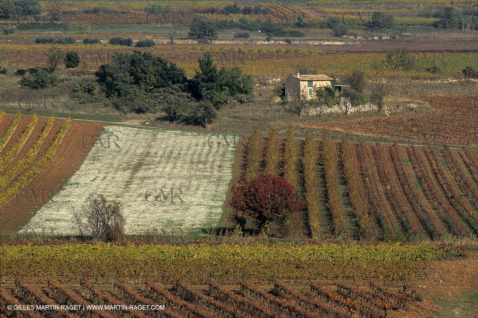 Aix en Provence area