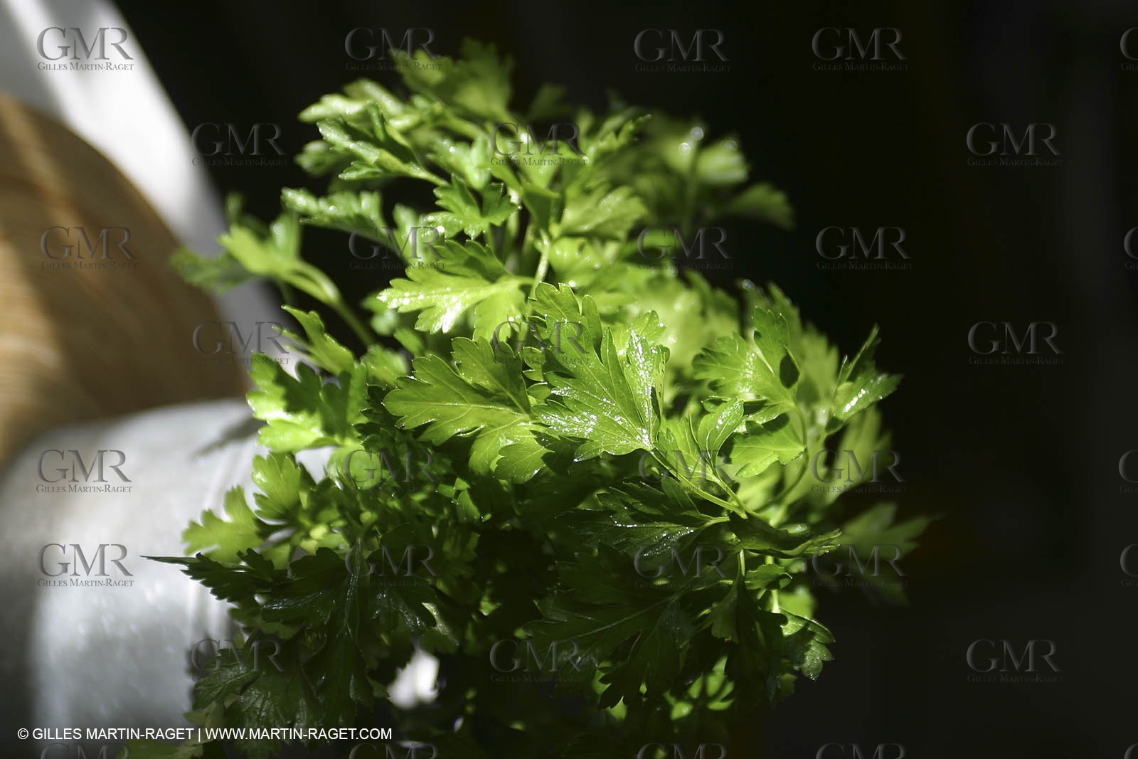 Herbes de Provence - ail et Persil
