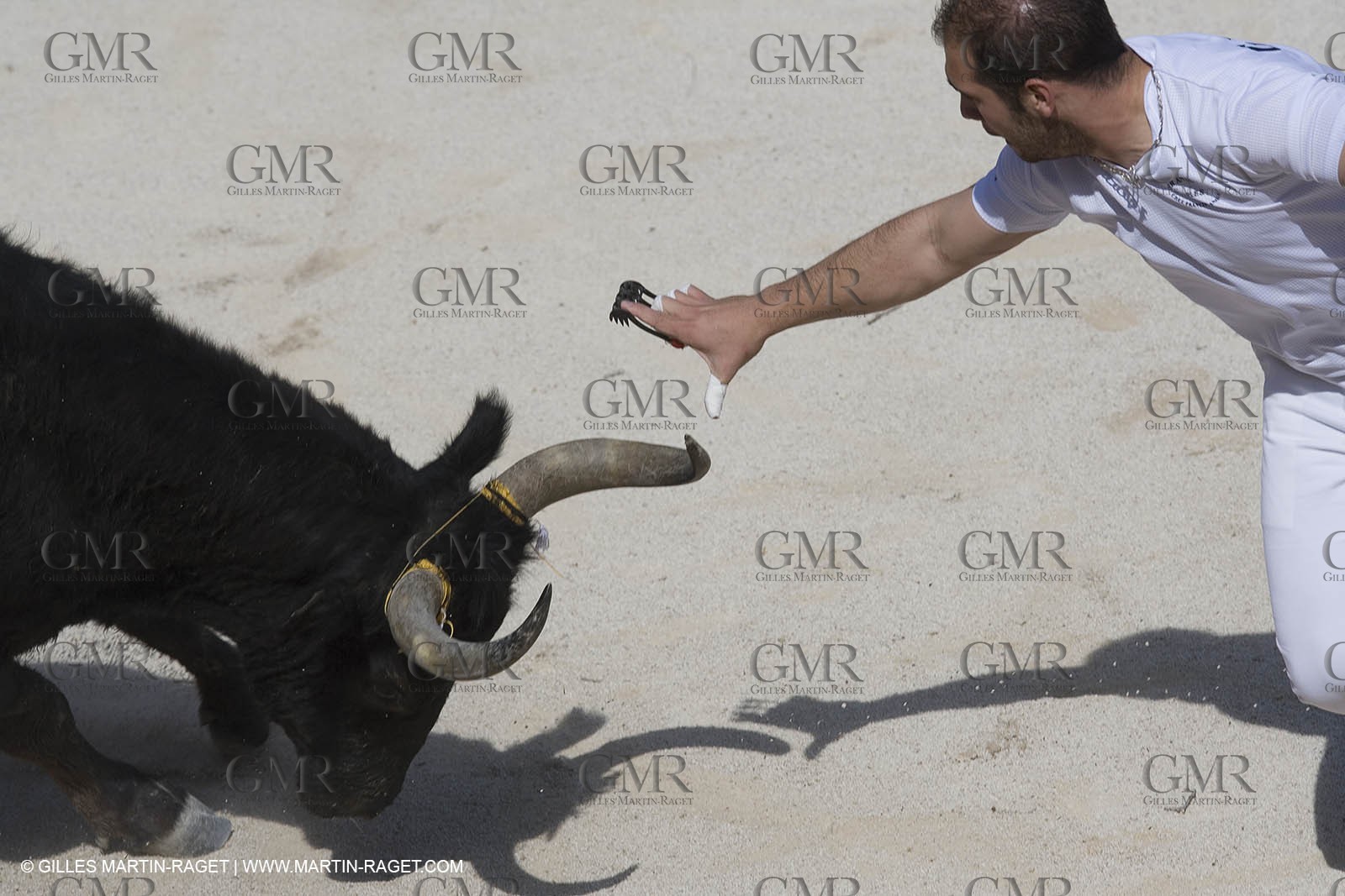 bull games