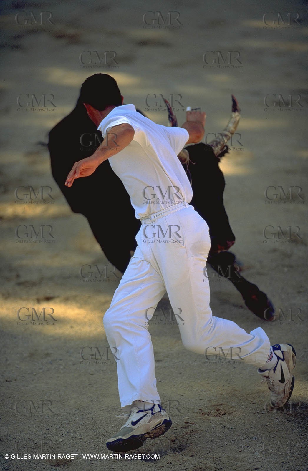 Camargue Bull game