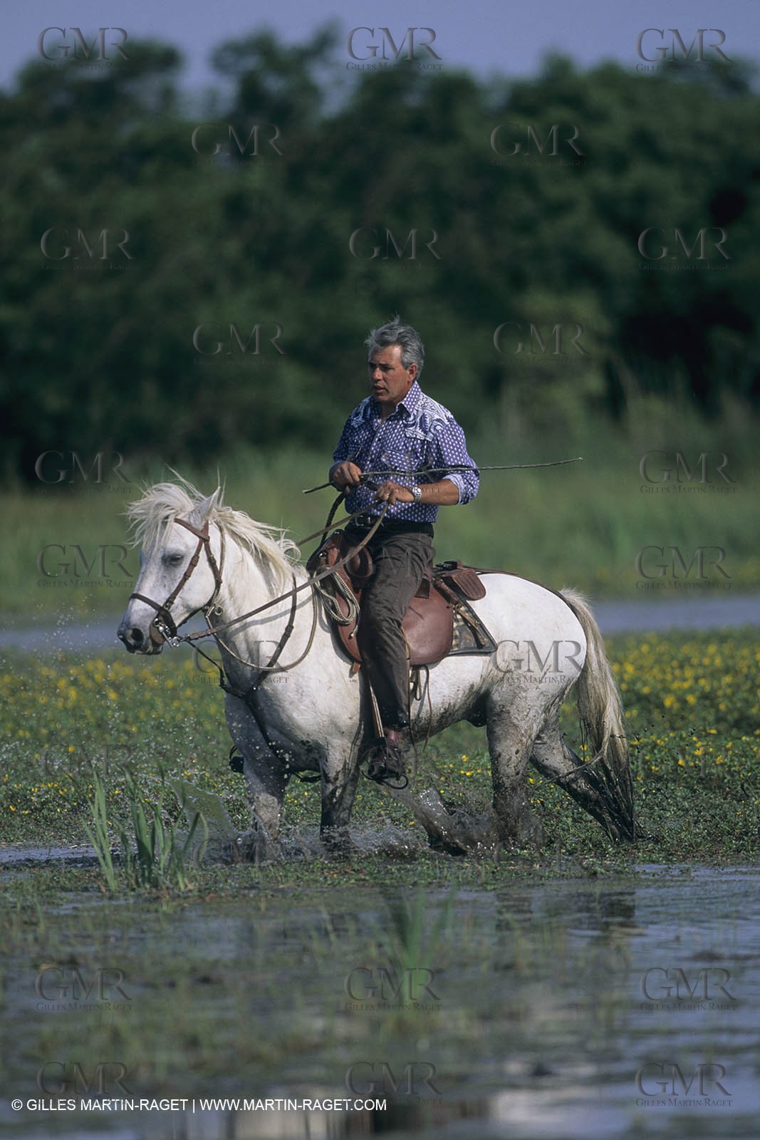 France, Provence, Camargue, Gardians de Camargue, métier, fêtes, élevage, tri