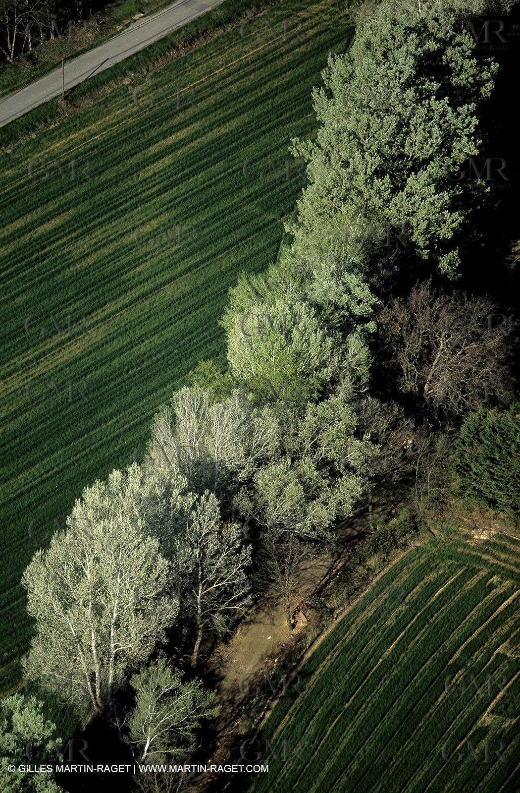 Agriculture nearby Mallemort