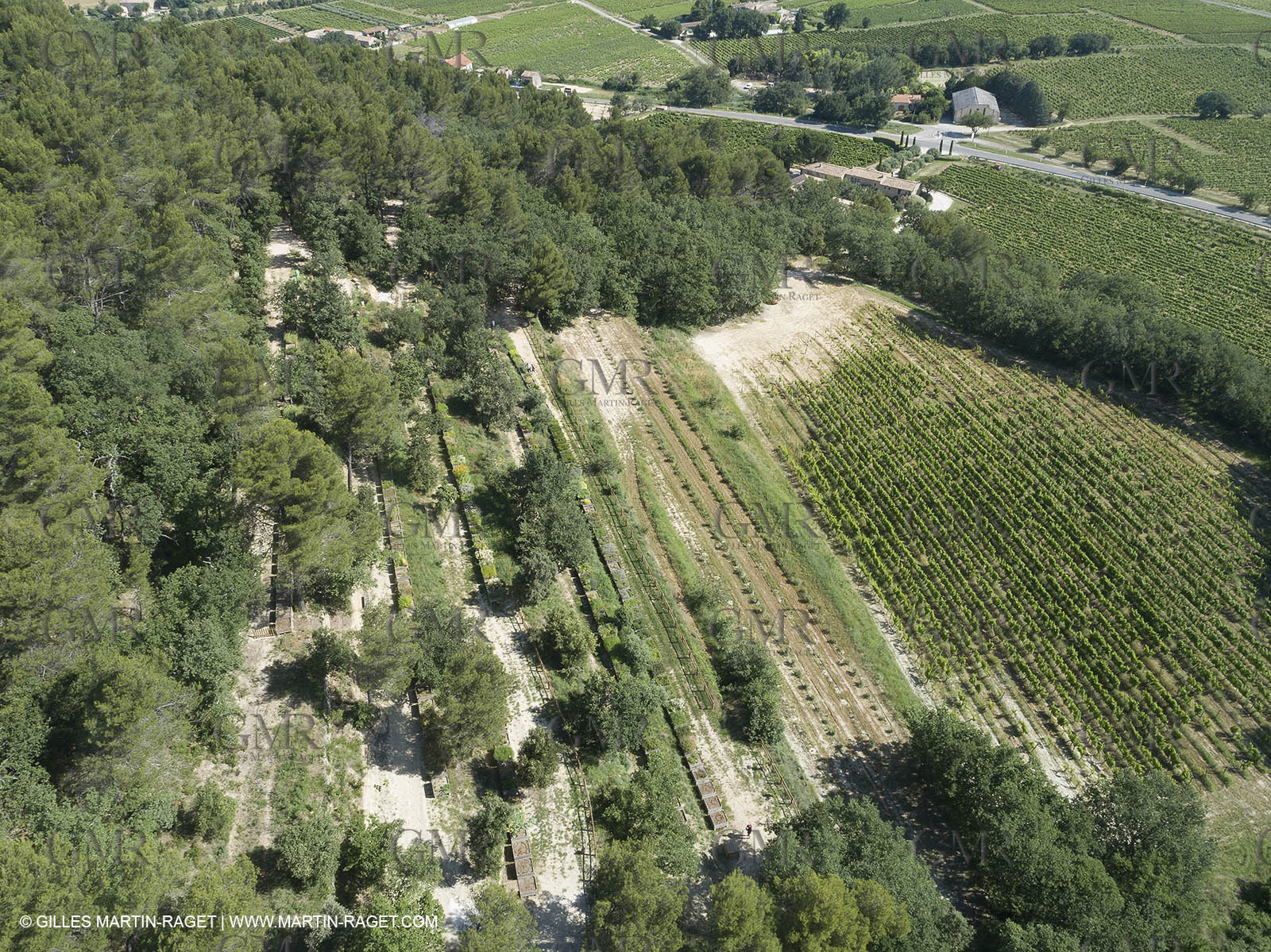 22 06 2018, Ménerbes (FRA,84), Domaine de la Citadelle