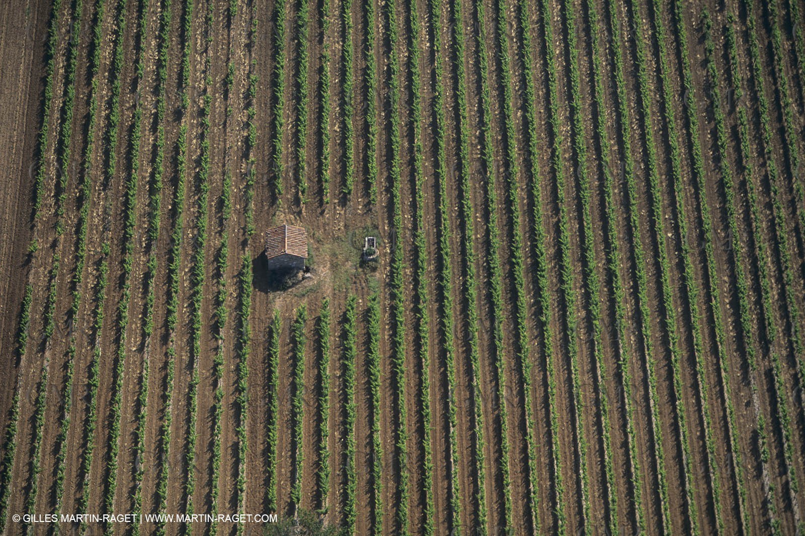 France, Provence, Pays d'Aix en Provence, vignoblmes des coteaux d'Aix, Côtes de Provence