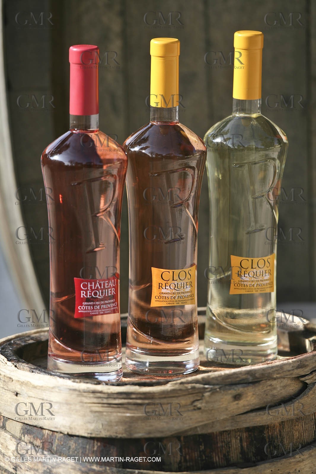 28 02 2008 - Cabasse (FRA, 83) - Domaine du Lac vines