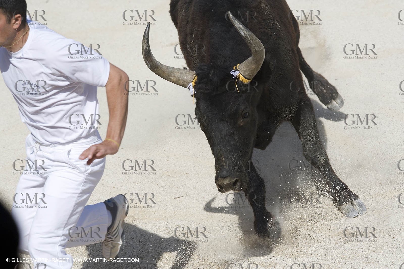 bull games